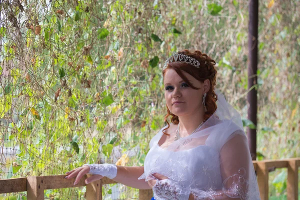 Beautiful bride on wedding day — Stock Photo, Image