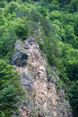 güzel dağ manzarası