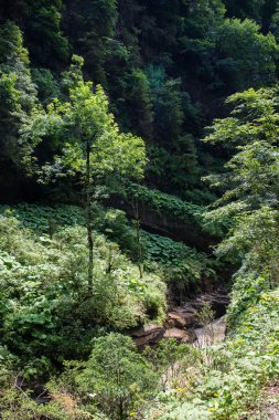 güzel dağ manzarası