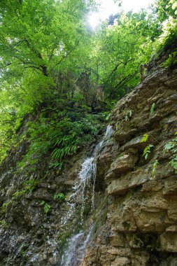 güzel dağ manzarası