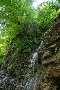 güzel dağ manzarası