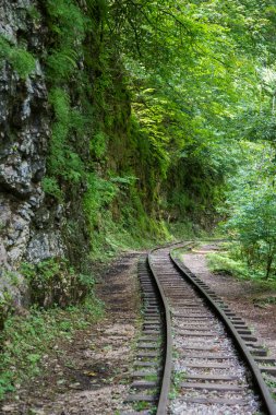 güzel dağ manzarası