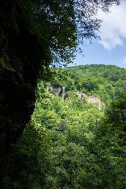 güzel dağ manzarası