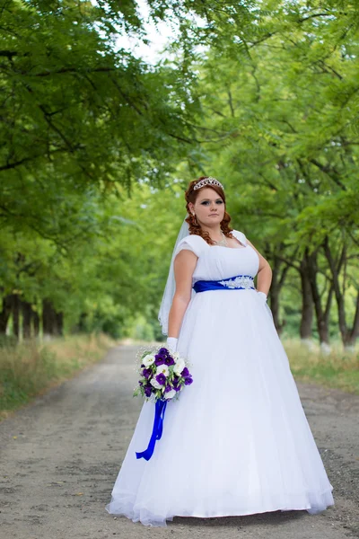 Bela noiva no dia do casamento — Fotografia de Stock