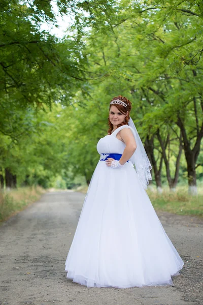 Bella sposa il giorno del matrimonio — Foto Stock