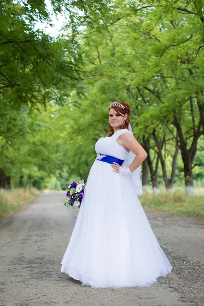 Hermosa novia el día de la boda —  Fotos de Stock