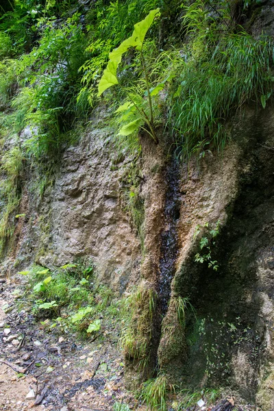 Güzel dağ manzarası — Stok fotoğraf