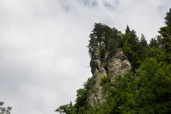 Hermoso paisaje de montaña —  Fotos de Stock