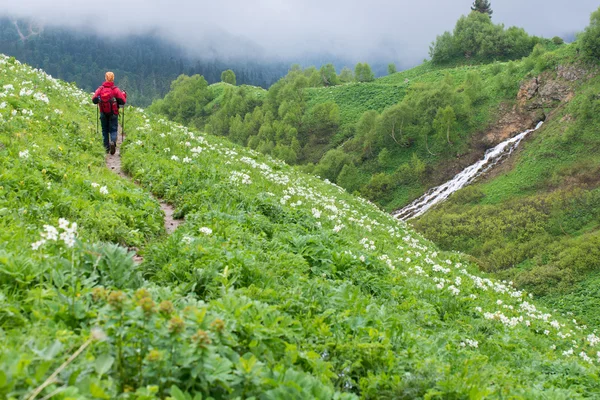 Touristische Reise in die Berge — Stockfoto