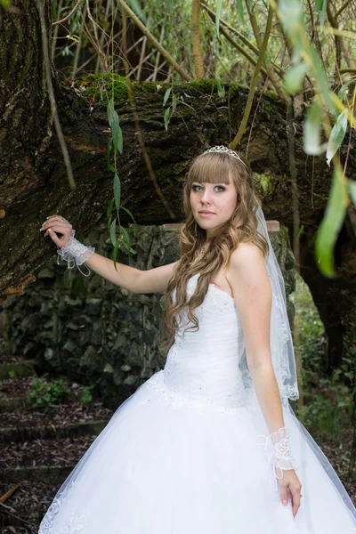 Hermosa novia el día de la boda —  Fotos de Stock