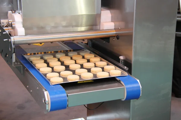 Food Processing Machine. — Stock Photo, Image