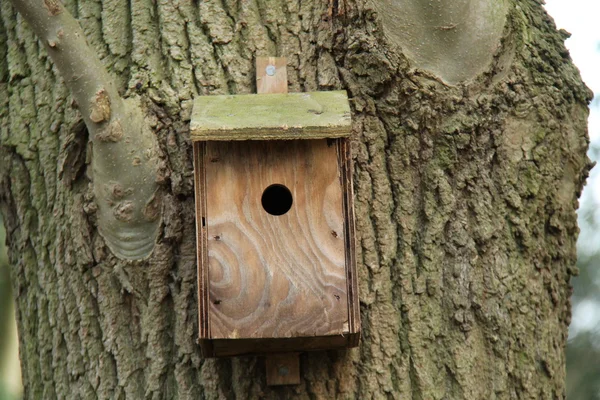 Houten vogel vak. — Stockfoto