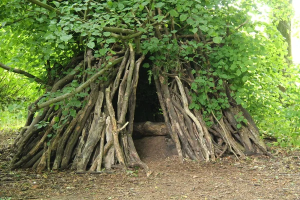 Een Woodland Shelter Gebouwd Rond Een Rijpe Bos Boom — Stockfoto