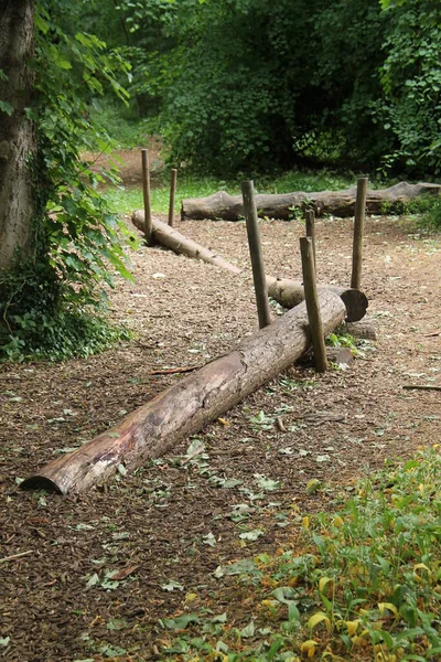 林地游憩区的一组木制平衡圆木 免版税图库图片