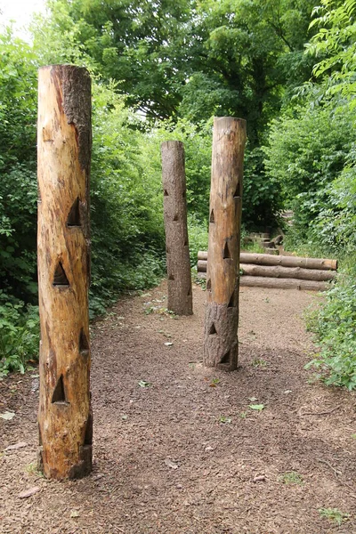 Een Rij Verticale Houten Klimactiviteiten Posts — Stockfoto