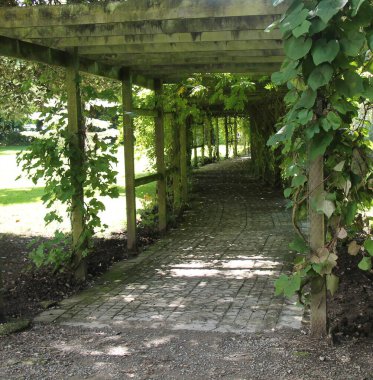 Tahta Pergola Kemer Tüneli 'nden geçen Taş Yol.