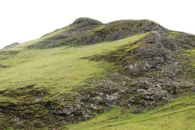 Çorak Rocky Dağı yamacında tek bir ölü ağaç..
