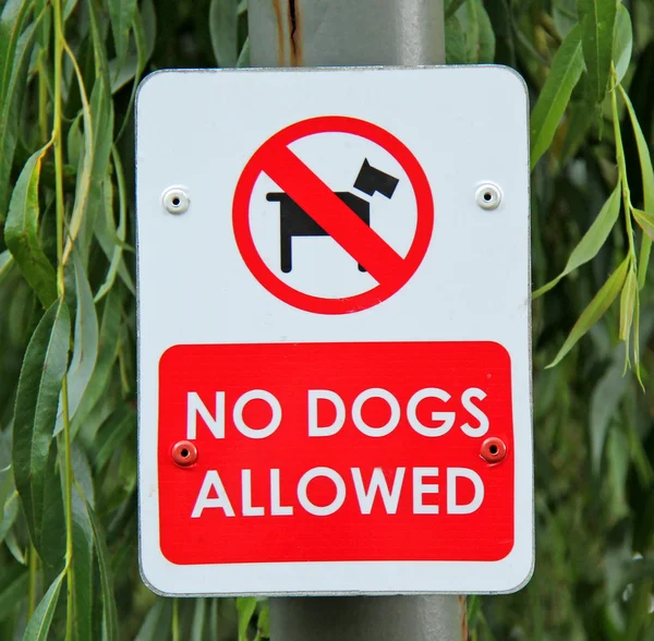 Dog Sign. — Stock Photo, Image