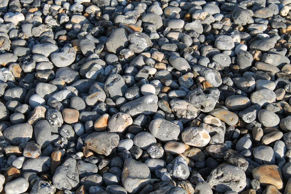 Seixos e pedras. — Fotografia de Stock