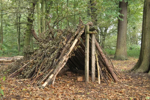 Forest Shelter. — Stock Photo, Image