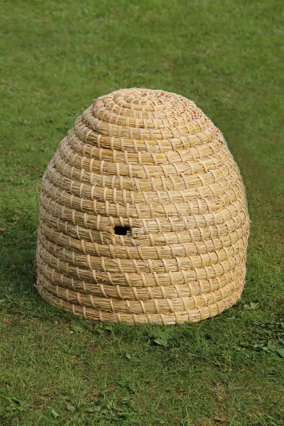 Beehive på gräs. — Stockfoto