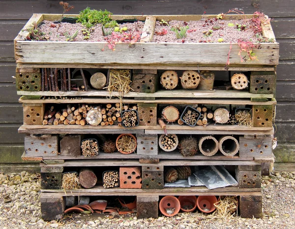 Gartenlaube. — Stockfoto