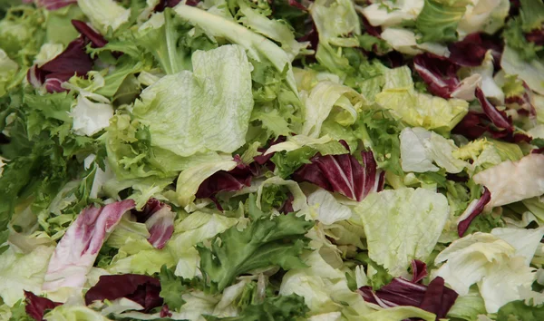 Fresh Green Salad. — Stock Photo, Image