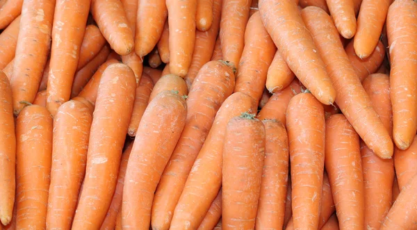 Овощи моркови . — стоковое фото