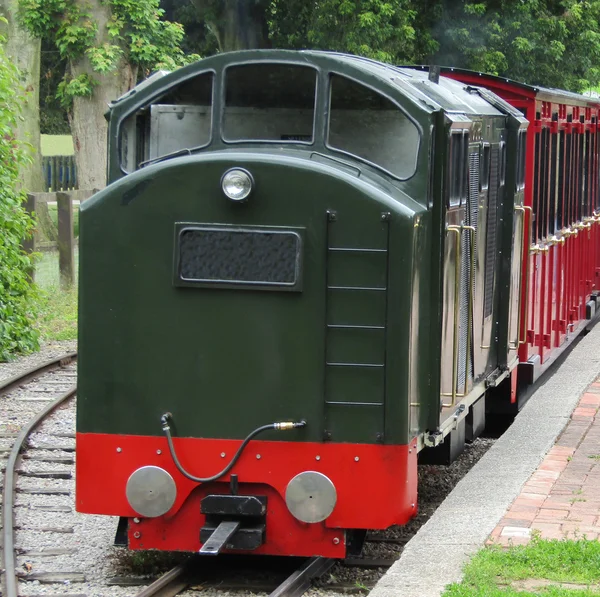 Ferrocarril de vía estrecha . — Foto de Stock