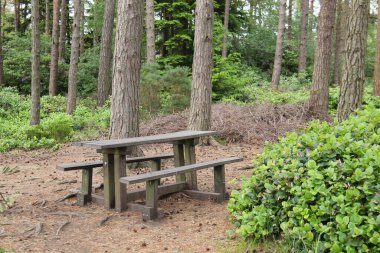 Bench koltuklu geleneksel ahşap piknik masası..