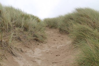 Bir Kıyı Sahilinin Kum Kumulları 'ndan Geçiş Yolu.