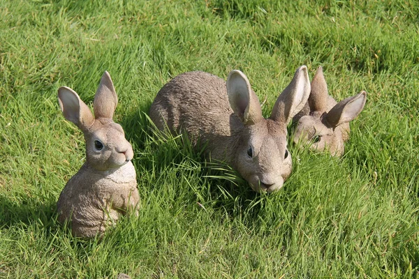 Rabbit Garden Ornaments. — Stock Photo, Image