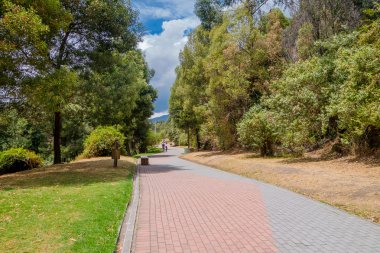 Şehir, büyük ağaçlar ve otlar içinde güzel park ına mavi gökyüzü gün spor yapmak için bir yol bu yere kapak