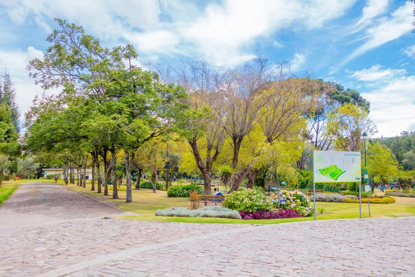 Las Cuadras Park ใน Quito เป็นสถานที่ที่สวยงามในการหายใจอากาศบริสุทธิ์สีต้นไม้ของพวกเขามีความสวยงาม — ภาพถ่ายสต็อก