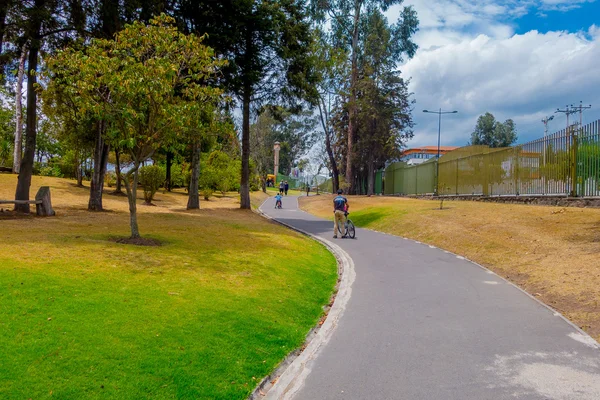 Big park with great green and yellow colors in the grass — Stock Photo, Image