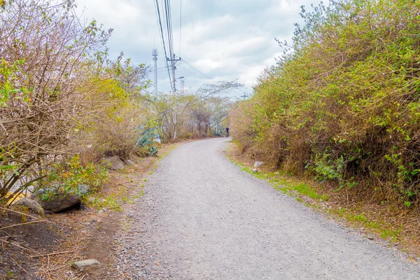 Natura strada in pietra in mezzo agli alberi, luogo perfetto per fare sport — Foto Stock