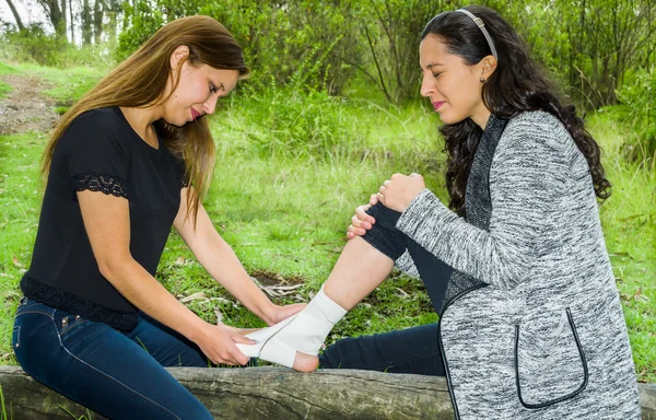 Young woman with injured ankle sitting on fallen tree and getting bandage compression wrap from female friend — Stock Photo, Image