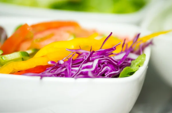 Closeup delicate fresh presentation of tuna salad in white bowl with colourful vegetables such as cole robbie, capsicum and tomatoes — Stock Photo, Image