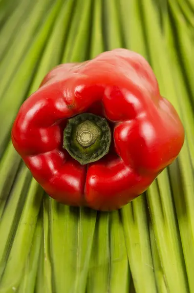 Peperone rosso grande, luminoso e pulito su verdure verdi — Foto Stock