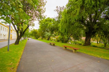 Cuenca, Ekvator - 22 Nisan 2015: Uzun boylu ağaçlar her iki tarafta huzurlu yürüyüş ve bisiklet avenue yanında Ahşap banklar