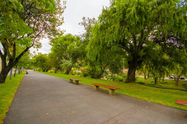 Cuenca, Ecuador - April 22, 2015: Wooden benches alongside peaceful walking and bicycle avenue with tall trees on both sides — Stock Photo, Image