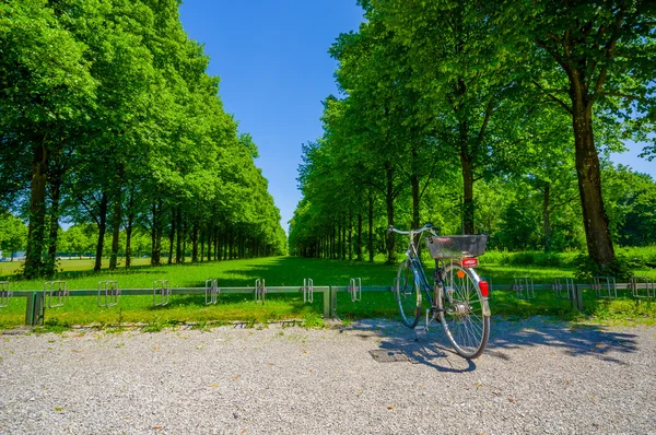 Schleissheim, Německo - 30. července 2015: Velké zelené stromy vysázeny v perfektní sestavě vytváření avenue trávy střední, jízdní kolo zaparkované a krásná modrá obloha — Stock fotografie