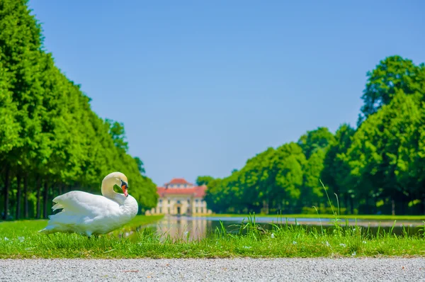 Schleißheim, Deutschland - 30. Juli 2015: Schloss Lustheim, auf der anderen Seite des Schleißheimer Gartens gelegen, schöner sonniger Tag und grüne Umgebung mit Vogelgezwitscher — Stockfoto