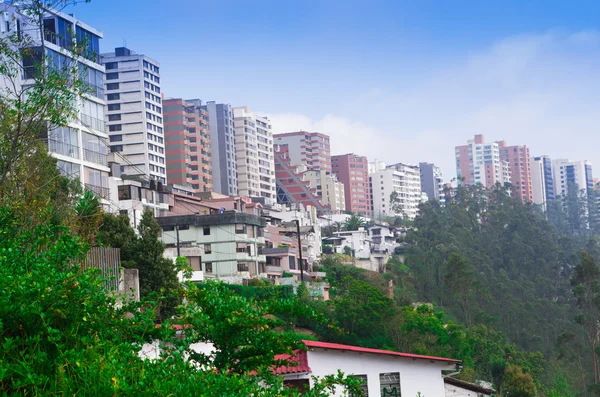 Quito skyline gezien vanaf de vallei beneden met appartementengebouwen zittend op de rand van groene bergzijde en blauwe hemel achtergrond — Stockfoto