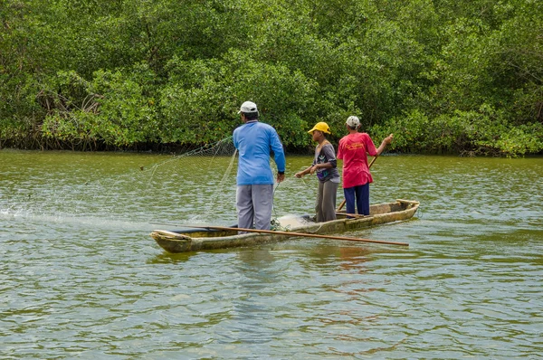 Muisne, Ecuador - March 16, 2016: Three guys fishing using net close to shore from wooden traditional canoe with green trees background — Stock Photo, Image