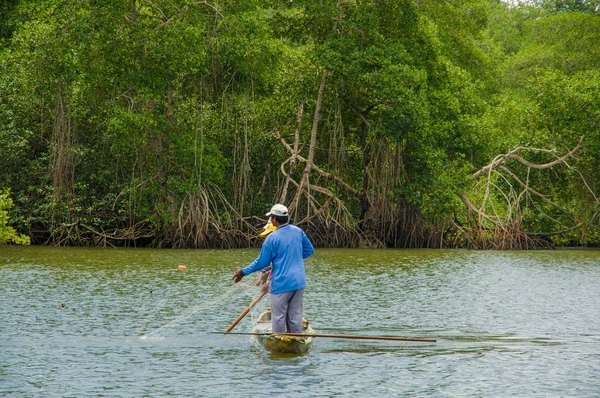 Muisne, Ekvator - 16 Mart 2016: üç adam ahşap geleneksel Kano yeşil ağaçlar arka plan ile kıyıdan yakın net kullanarak Balık tutma