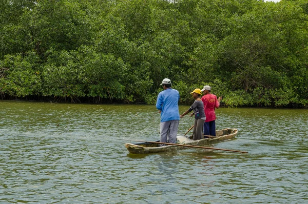 Muisne, Ecuador - March 16, 2016: Three guys fishing using net close to shore from wooden traditional canoe with green trees background — Stock Photo, Image