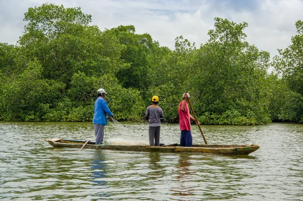 Muisne, Ecuador - March 16, 2016: Three guys fishing using net close to shore from wooden traditional canoe with green trees background — Stock Photo, Image