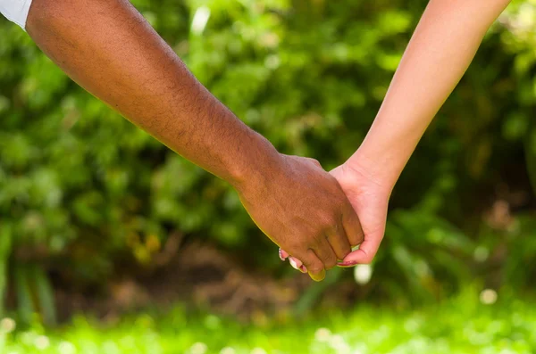 Braços de casal interracial de mãos dadas, grande amor conceito simbólico, jardim verde fundo — Fotografia de Stock