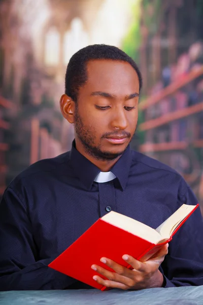Sacerdote cattolico che indossa la tradizionale camicia del colletto clericale seduto e tenendo la Bibbia durante la lettura, concetto di religione — Foto Stock